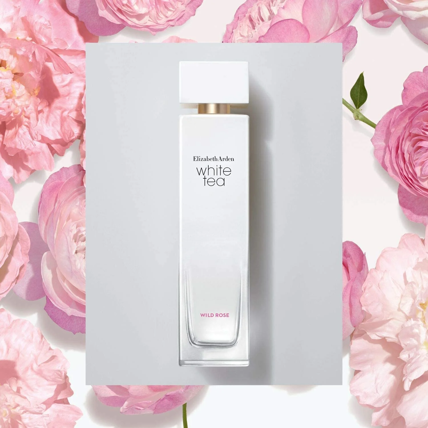 Elizabeth Arden White Tea Wild Rose Eau de Toilette 50ml Spray - Image 4