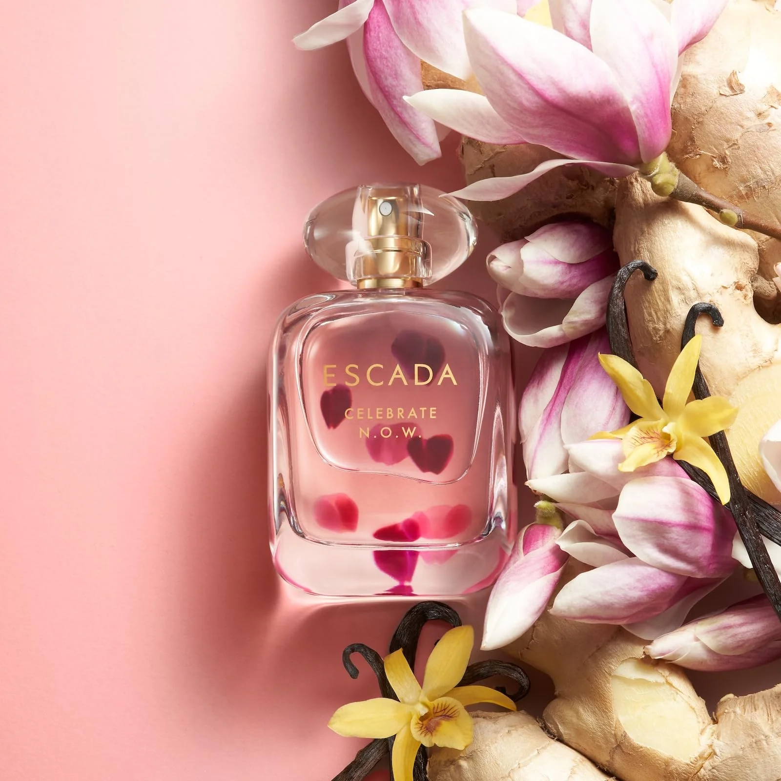 Escada Celebrate N.O.W. Eau de Parfum 50ml Spray - Image 4