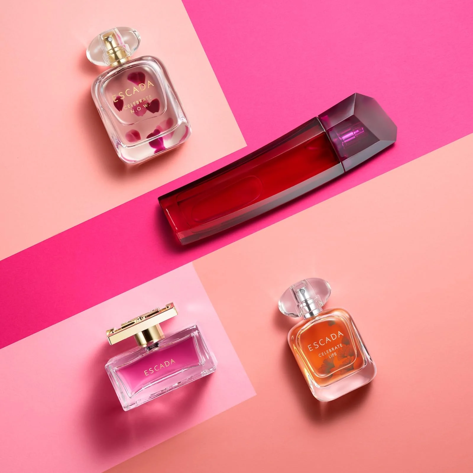 Escada Celebrate N.O.W. Eau de Parfum 50ml Spray - Image 9