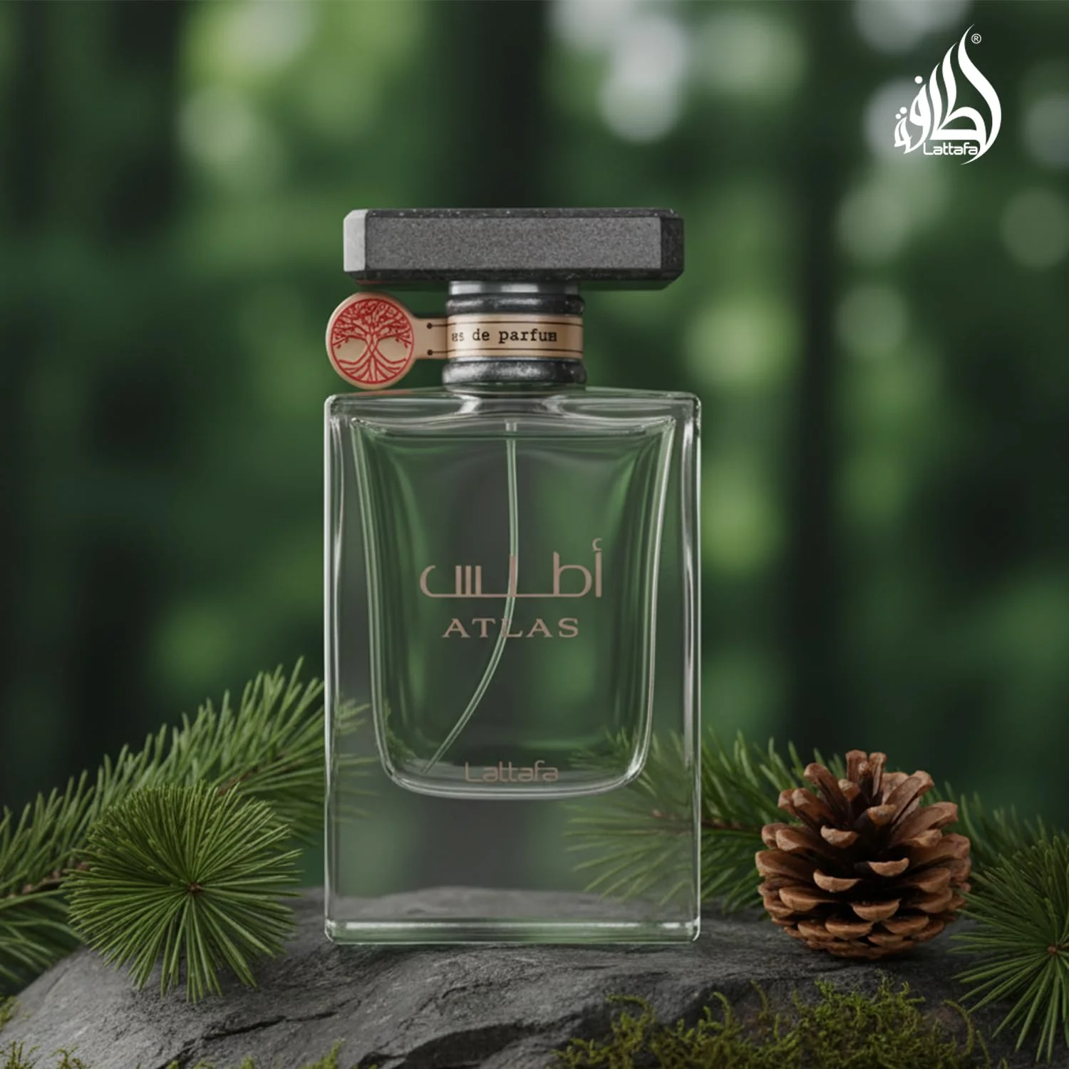 Lattafa Perfumes Atlas Eau de Parfum 55ml Spray - Image 6
