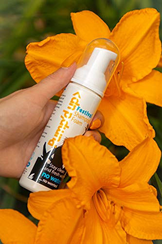 Pump'd Up Coconut Foam Shampoo 70ml - Image 4