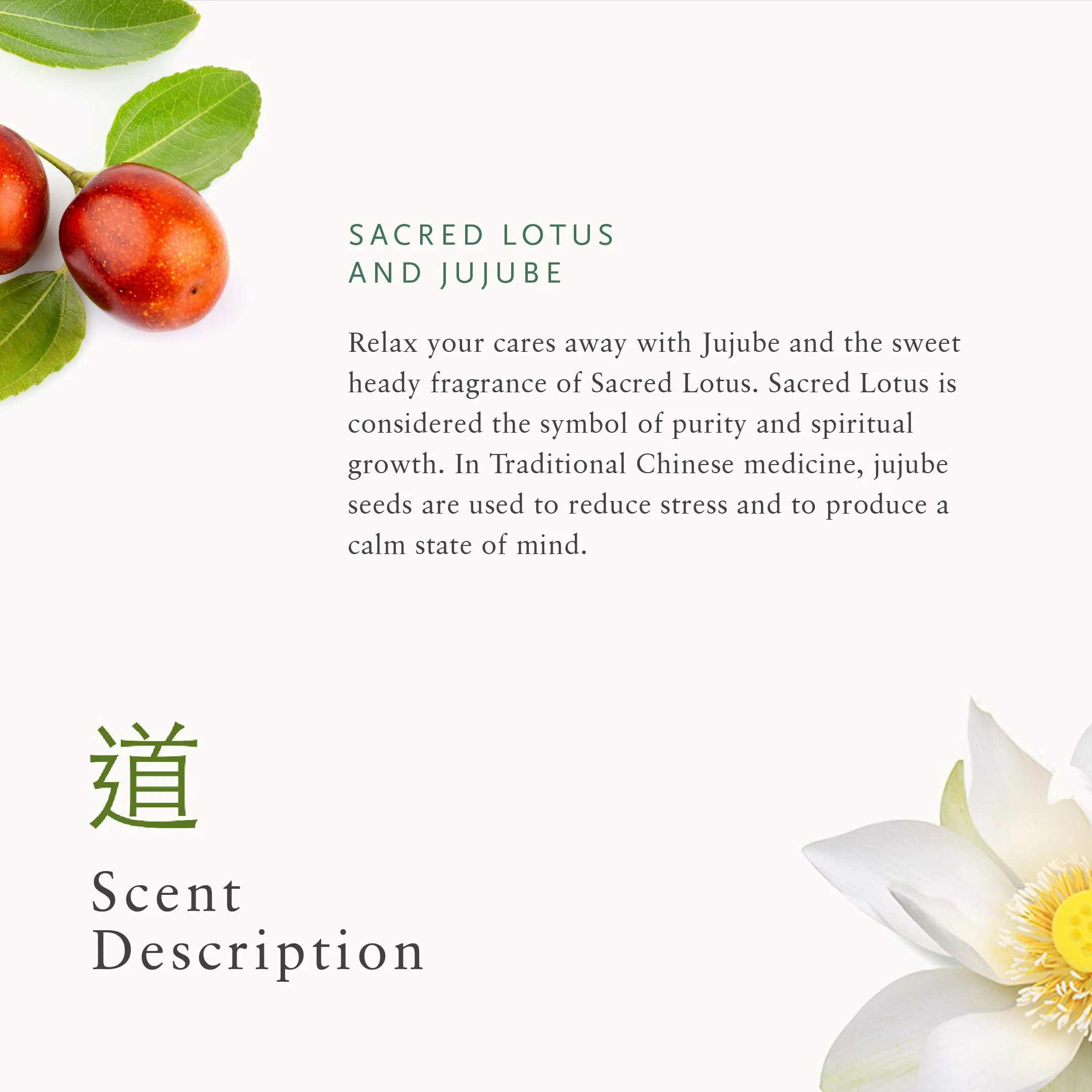 Rituals The Ritual of Jing Gift Set 50ml Shower Gel + 125ml Body Scrub + 70ml Body Cream - Image 5
