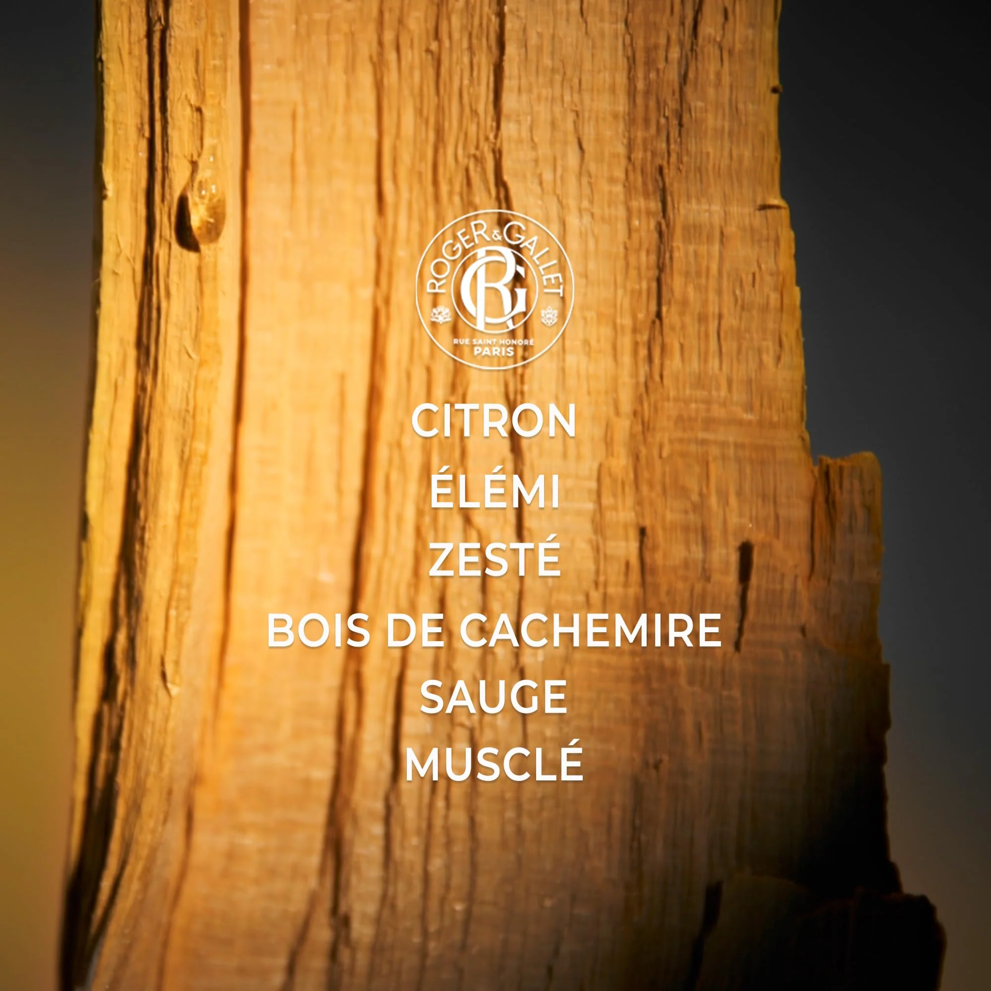 Roger & Gallet Cologne Twist Eau de Cologne 100ml Spray - Image 3